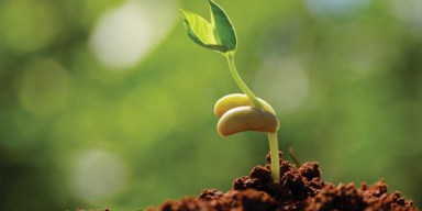 TamilDailyNews_5535503625870