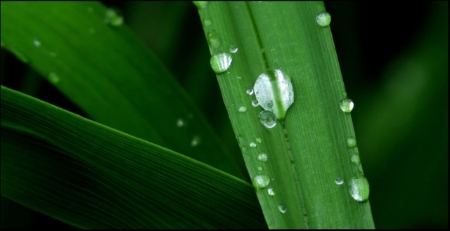 beads-e-fr-mtpmcg615-sm-8185