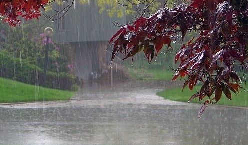 Rain_Beautiful