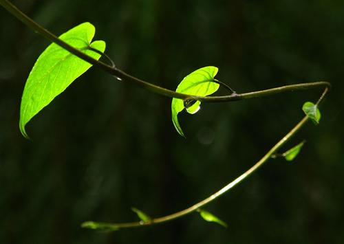 1092505216_5dcba98238